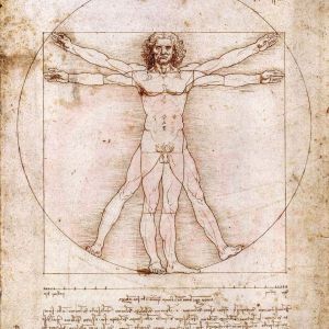 Da Vinci Vitruvian Man Digital Print Product Photo