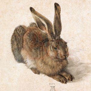 Durer, Young Hare Digital Print Product Photo