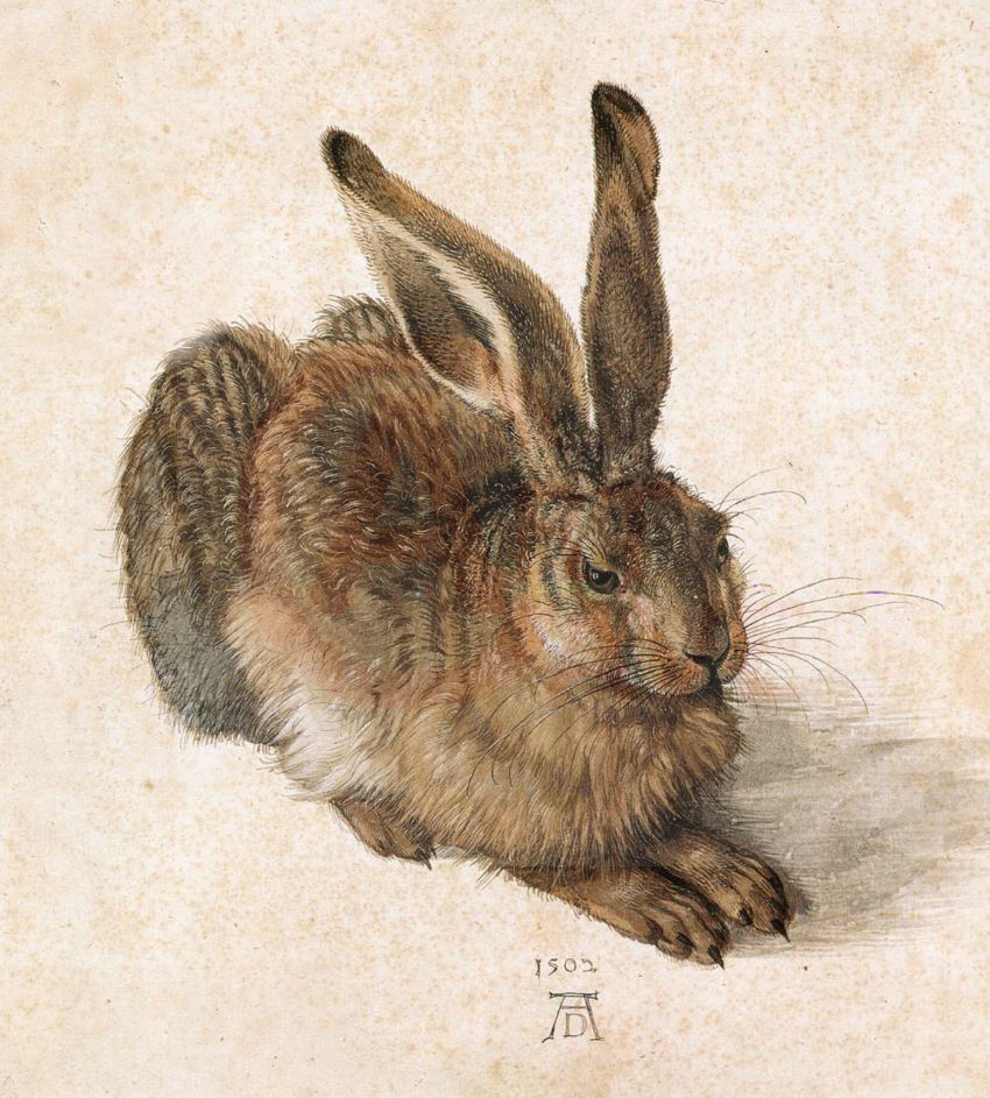 Durer, Young Hare Digital Print Product Photo