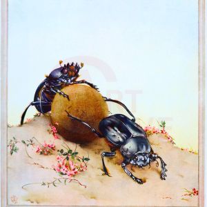 Dung Beetles, from Fabres Insects Digital Print Product Photo