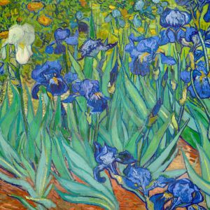 Van Gogh, Irises 1889 Digital Print Product Photo