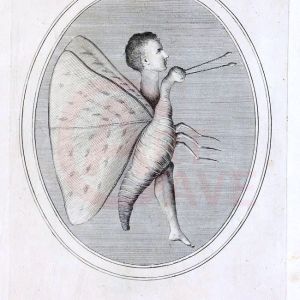 Palizzi, Filippo, Ring Shaped Gem Depicting a Hybrid Figure, a Mix of a Butterfly and a Male Youth Digital Print Product Photo